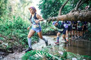 BIB: 
                            <button type="button" onclick="openModal(25468270)" class="btn btn-primary btn-sm float-right btn-popup" data-toggle="modal" data-target=".modal-high-quality">
                        <i class="fas fa-shopping-cart"></i> Add to Cart
                    </button>
                                            <button type="button" onclick="isThisMe(25468270, true)" class="btn btn-success btn-sm float-right btn-popup btn-isme hidden" data-toggle="tooltip" data-placement="bottom" title="นี่คือรูปของคุณใช่ไหม คลิกที่นี่เพื่อเอาเข้าอัลบั้ม">
                        <i class="fas fa-plus"></i> Add to album
                    </button>
                    <button type="button" onclick="isThisMe(25468270, false)" class="btn btn-warning btn-sm float-right btn-popup btn-isnotme hidden">
                        <i class="fas fa-ban"></i> Remove from album
                    </button>